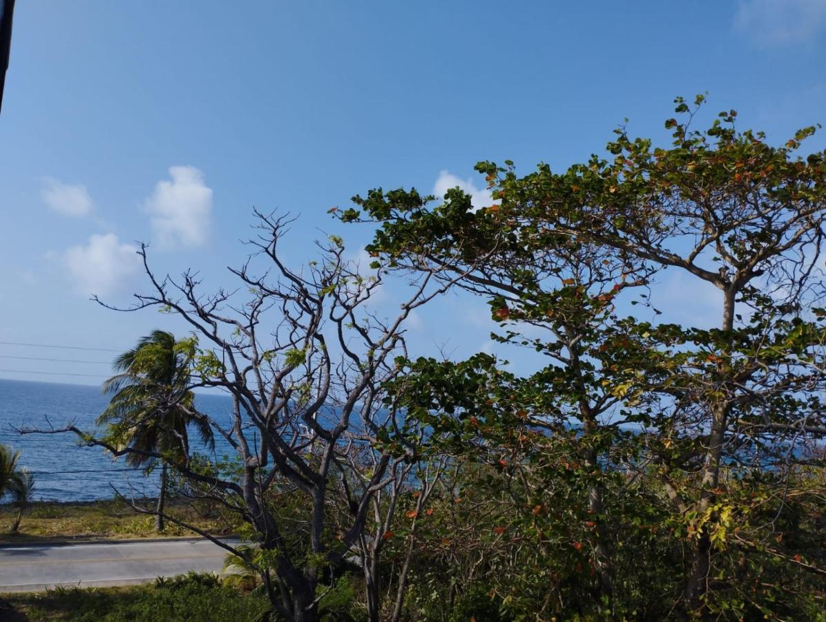 Sunset Paradise San Andrés エクステリア 写真